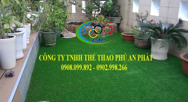 san thuong Phan CHu Trinh 1