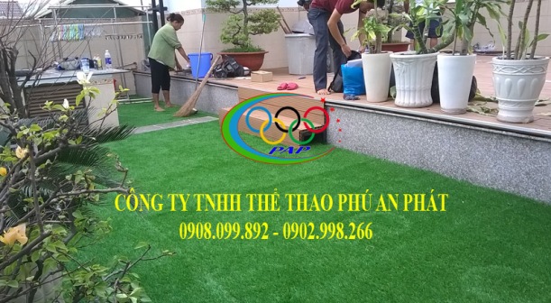 san thuong Phan CHu Trinh 3